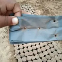 Green Seekers Activity